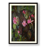 Pink Lotus, Pink Watter Lily - WALL MOUNT FRAME