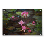Lotus Flowers - Acrylic Wall Photo