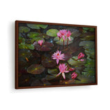Lotus Flowers - Framed Canvas
