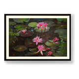 Lotus Flowers - WALL MOUNT FRAME