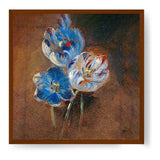 Study Of Three Parrot Tulips - Framed Canvas