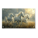 Three White Horses Running - Acrylic Wall Photo