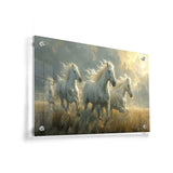 Three White Horses Running - Acrylic Wall Photo