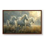 Three White Horses Running - Framed Canvas