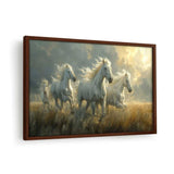 Three White Horses Running - Framed Canvas