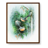 Bird Art - Framed Canvas