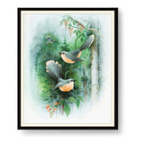 Bird Art - WALL MOUNT FRAME