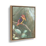 Painting Of Bird - FLOATING FRAME