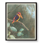 Painting Of Bird - WALL MOUNT FRAME