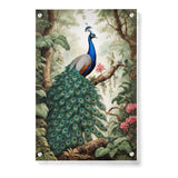 Peacock - Acrylic Wall Photo