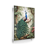 Peacock - Acrylic Wall Photo