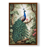 Peacock - Framed Canvas