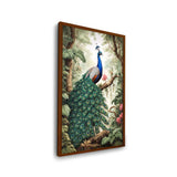 Peacock - Framed Canvas