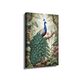 Peacock - Wall Canvas