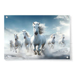 White Horses Running - Acrylic Wall Photo