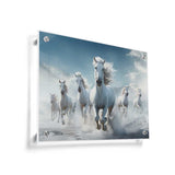 White Horses Running - Acrylic Wall Photo