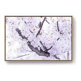 Cherry Blossom Trees - FLOATING FRAME
