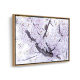 Cherry Blossom Trees - FLOATING FRAME