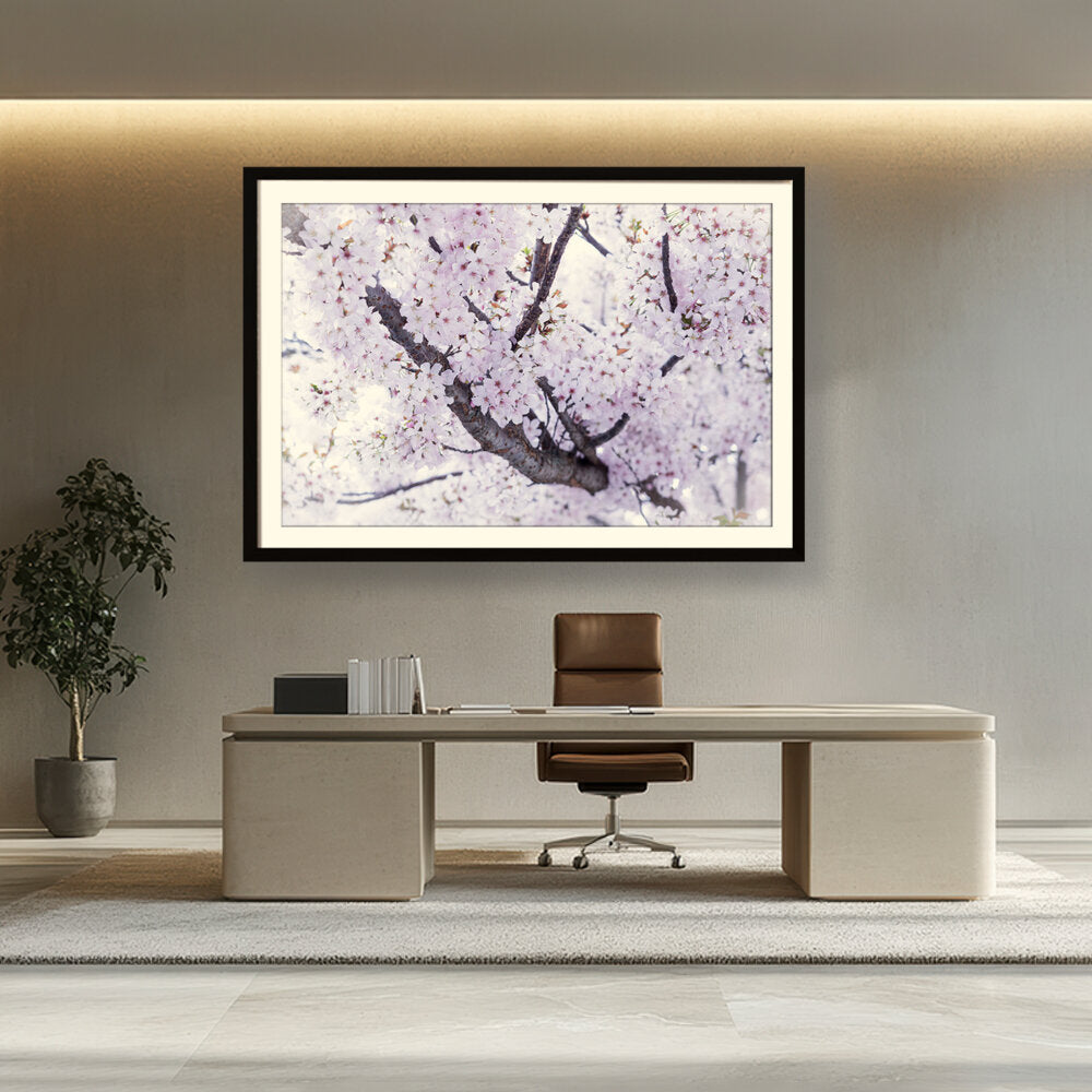 Picasoul - Artist - Cherry Blossom Trees - WALL MOUNT FRAME