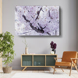 Cherry Blossom Trees - Wall Canvas