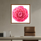 Picasoul - Artist - Pink Camellia Flower - Framed Canvas