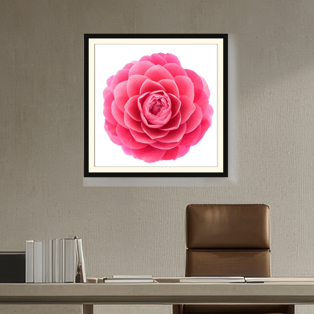 Picasoul - Artist - Pink Camellia Flower - WALL MOUNT FRAME