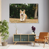Cute Welsh Corgi Dog - Acrylic Wall Photo