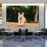 Picasoul - Artist - Cute Welsh Corgi Dog - Acrylic Wall Photo