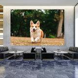 Picasoul - Artist - Cute Welsh Corgi Dog - Acrylic Wall Photo