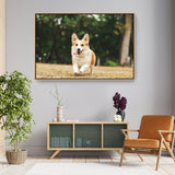 Cute Welsh Corgi Dog - FLOATING FRAME