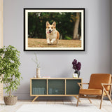 Cute Welsh Corgi Dog - WALL MOUNT FRAME