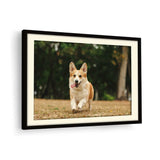 Cute Welsh Corgi Dog - WALL MOUNT FRAME
