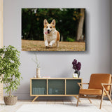Cute Welsh Corgi Dog - Wall Canvas