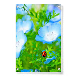Red And Black Ladybug - Acrylic Wall Photo