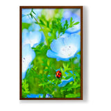 Red And Black Ladybug - Framed Canvas