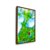 Red And Black Ladybug - Framed Canvas