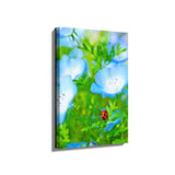 Red And Black Ladybug - Wall Canvas