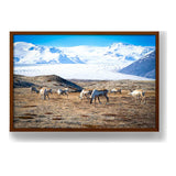 Iceland In October - Framed Canvas