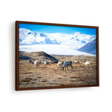Iceland In October - Framed Canvas