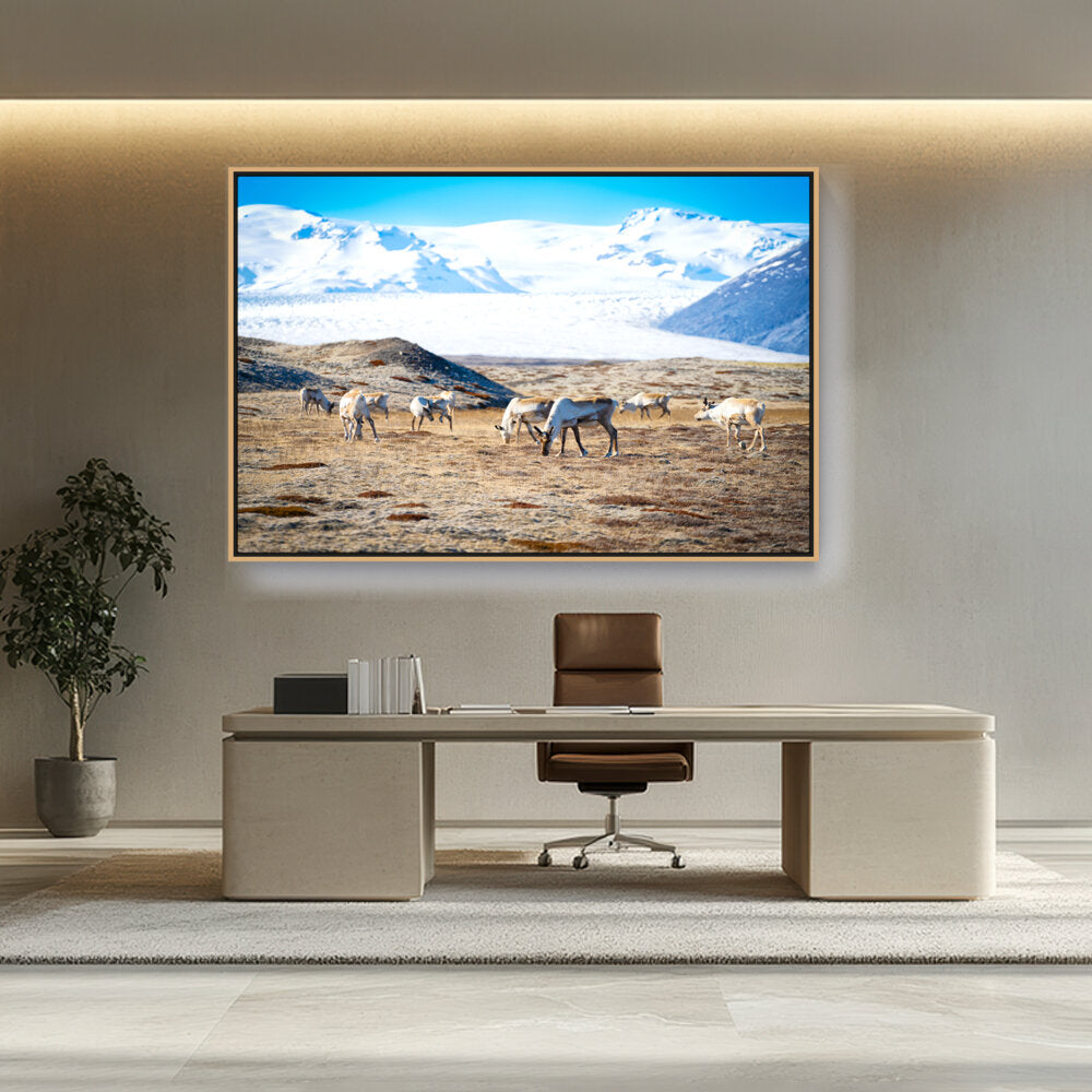 Picasoul - Artist - Iceland In October - FLOATING FRAME