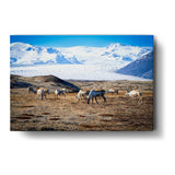 Iceland In October - Wall Canvas