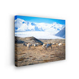 Iceland In October - Wall Canvas