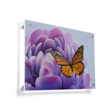 A Bunch Of Butterflies - Acrylic Wall Photo