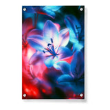 A Close Up Of A Flower - Acrylic Wall Photo