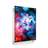 A Close Up Of A Flower - Acrylic Wall Photo