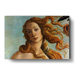 The Birth Of Venus - Wall Canvas