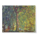 Weeping Willow - Acrylic Wall Photo