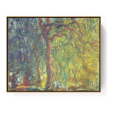 Weeping Willow - FLOATING FRAME
