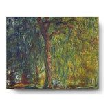Weeping Willow - Wall Canvas