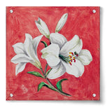 White Lily - Acrylic Wall Photo